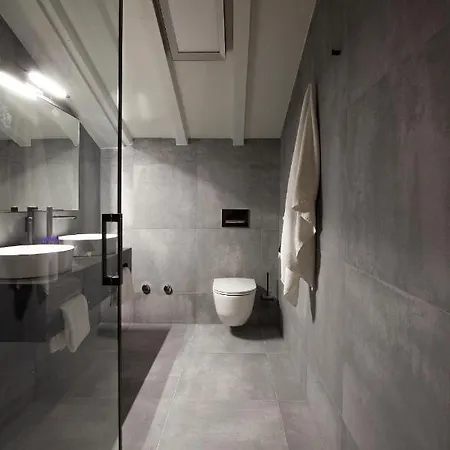 Shed Hotel 3*