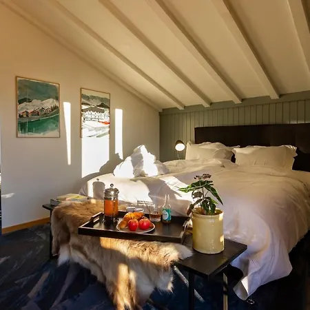 Shed Hotel 3*
