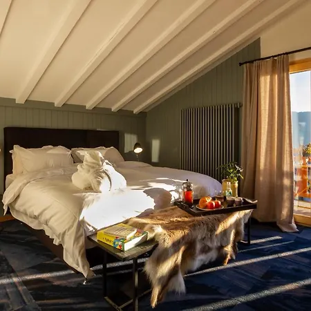 Shed Hotel 3*