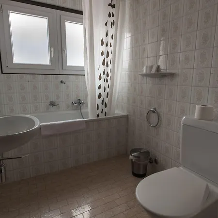 Hotel Shed 3*