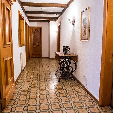 Hotel Shed 3*