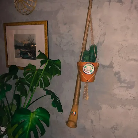 Shed Вербье