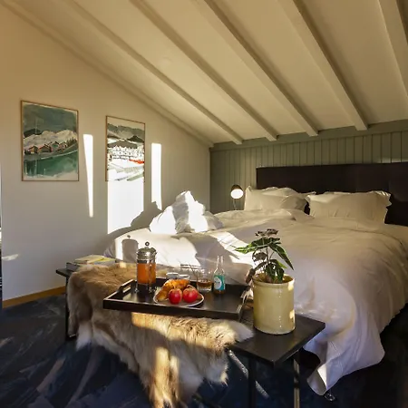 Отель Shed